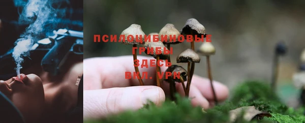 ГАЛЛЮЦИНОГЕННЫЕ ГРИБЫ Абдулино