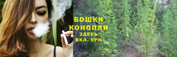 ГАЛЛЮЦИНОГЕННЫЕ ГРИБЫ Абдулино