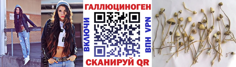 Псилоцибиновые грибы ЛСД  Знаменск 