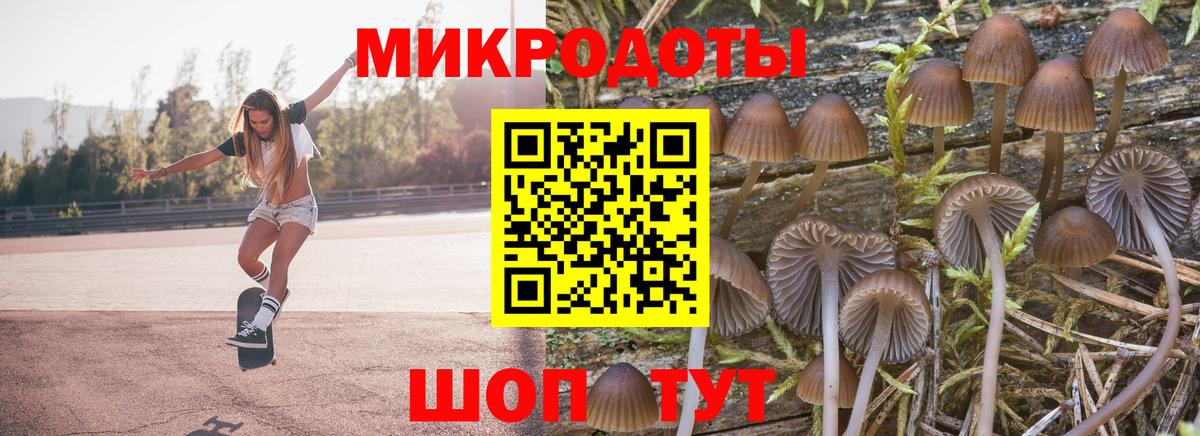 Знаменск  Псилоцибиновые грибы мухоморы  Псилоцибиновые грибы ЛСД  Вход с VPN 