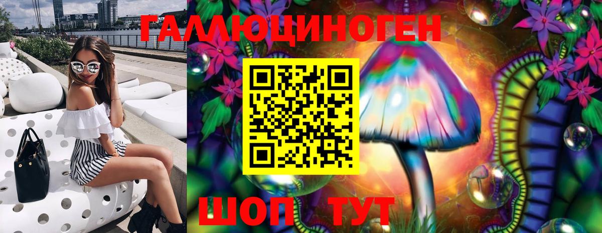 Галлюциногенные грибы Psilocybine cubensis Знаменск
